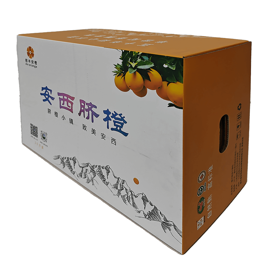IMG20231212142735 拷貝
