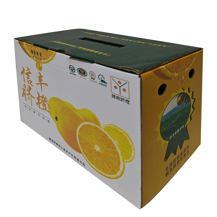 IMG20231212151441 拷貝