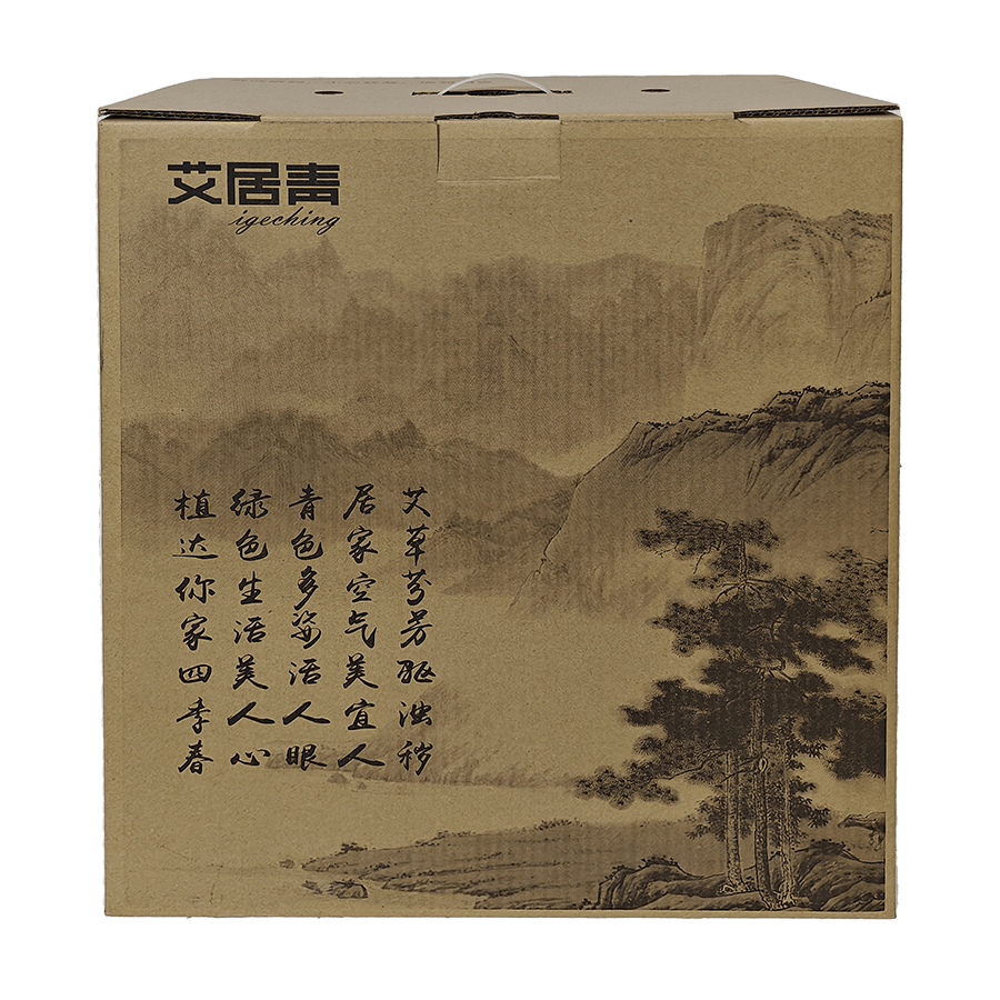 電商類(lèi)紙箱包裝