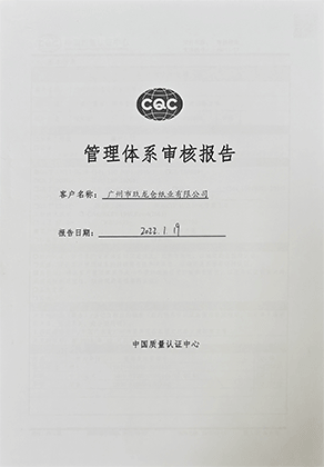 管理體系審核報(bào)告