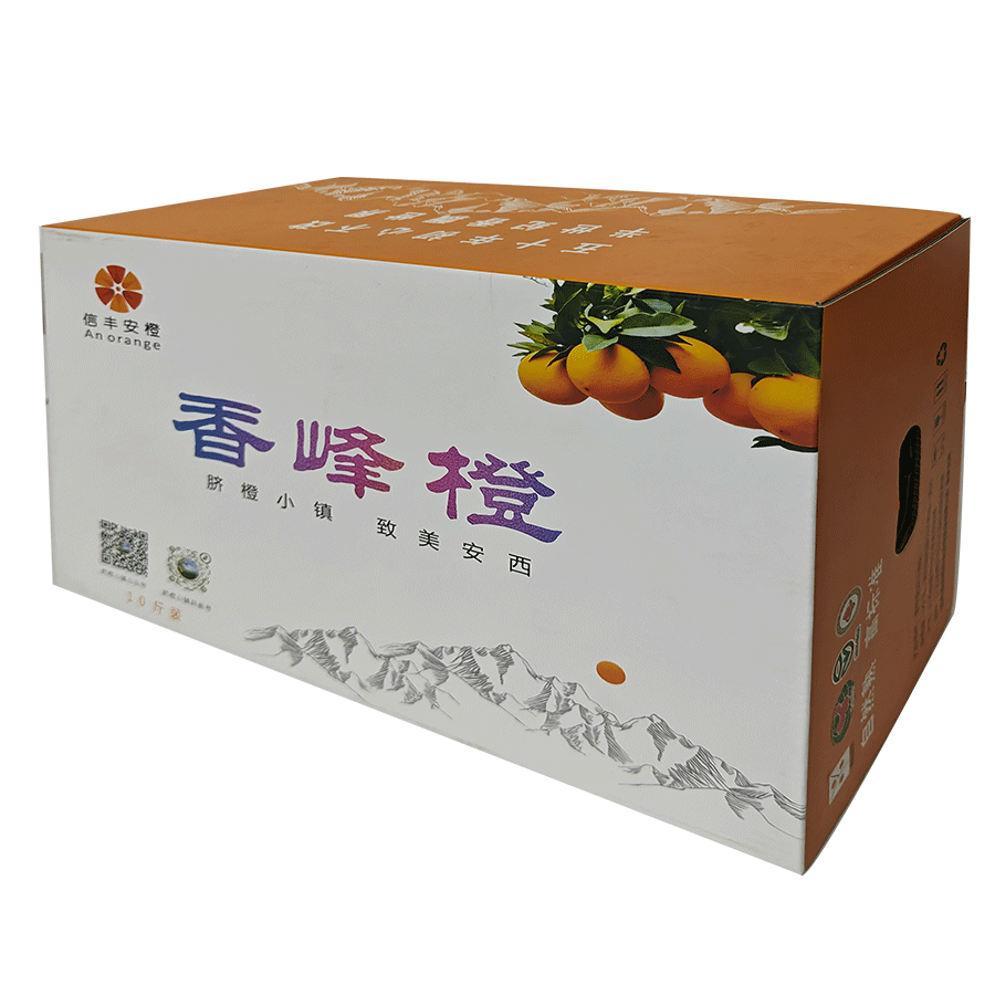 未標(biāo)題-1_0025_IMG20231212114832-拷貝