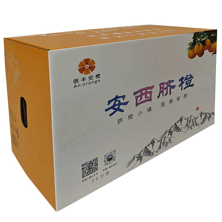 未標(biāo)題-1_0015_IMG20231212142746-拷貝